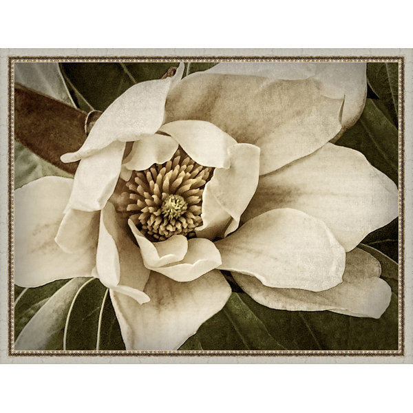 Charlton Home® 'Classic Magnolia I' Framed Painting Print Wayfair.ca